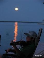 6100- picture by Tinant